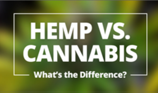 business development chart